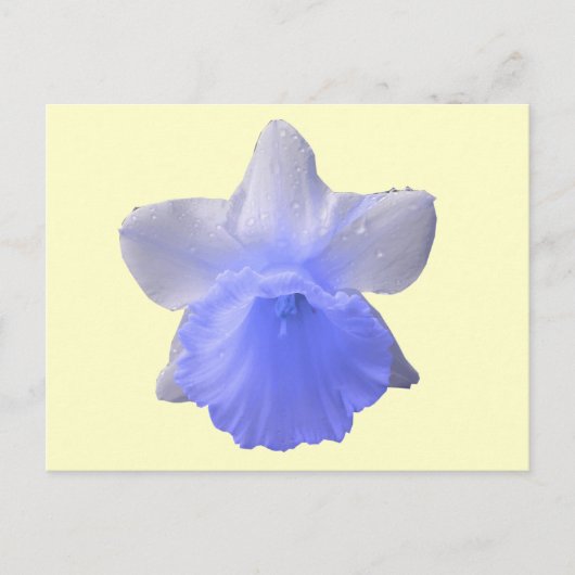 Blue Dripping Daffodische Blume Postkarte (Vorderseite)