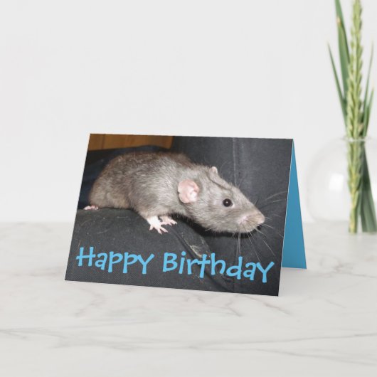 Blue Dumbo Rat Geburtskarte Karte (Vorderseite)