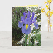 Blue Dutch Iris Blume Floral Card Karte (Gelbe Blume)
