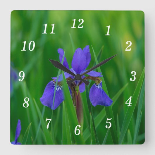 Blue Dutch Under Blätter Wall Clock Quadratische Wanduhr (Vorderseite)