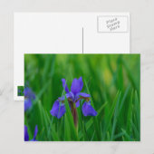 Blue Dutch unter Blätter Postkarte (Vorne/Hinten)
