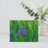 Blue Dutch unter Blätter Postkarte (Stehend Vorderseite)