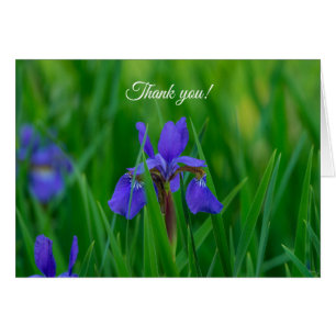 Blue Dutch unter den Blätter Danke, Card