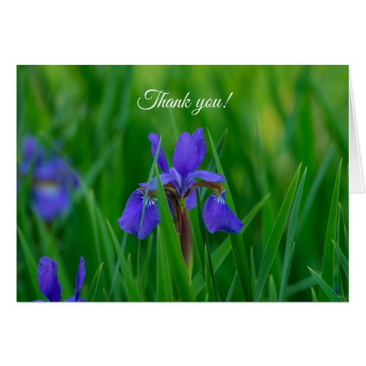 Blue Dutch unter den Blätter Danke, Card (Vorderseite (Horizontal))