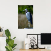 Blue Egret Poster (Heimbüro)
