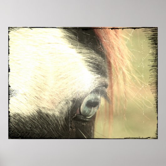Blue Eye Grunge Poster (Vorne)