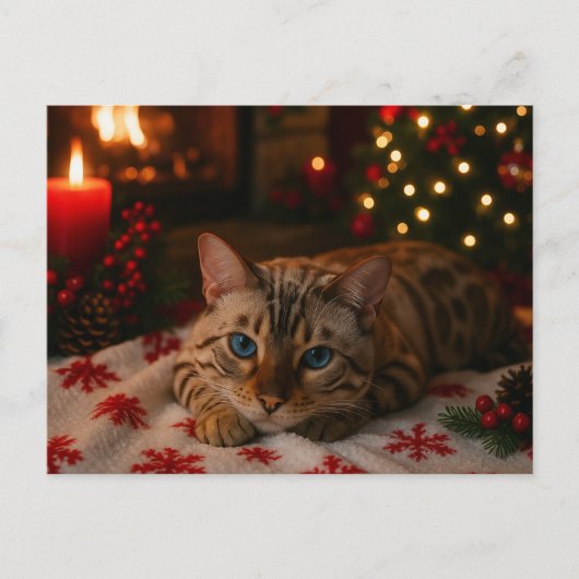 Blue-Eyed Christmas Cat Postcard Cozy Fireplace Postkarte (Vorderseite)