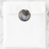 Blue Eyes Kitty Collection Runder Aufkleber (Tasche)