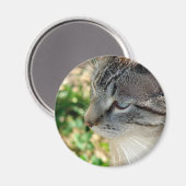 Blue Eyes Kitty Magnet (Vorderseite/Rückseite)