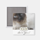 Blue Eye's Kitty Magnet (Vorderseite/Rückseite)