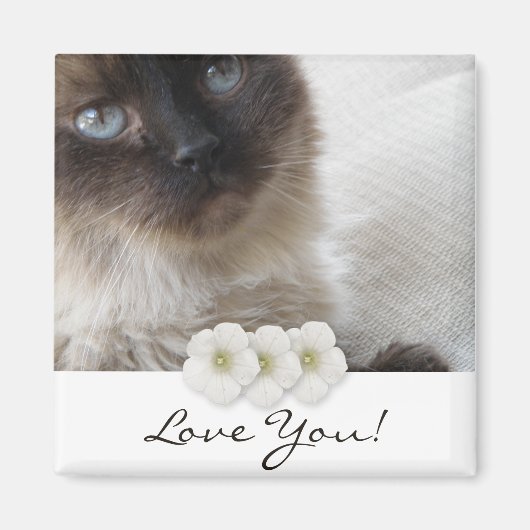 Blue Eye's Kitty Magnet (Vorne)