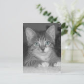 Blue Eyes Postcard Postkarte (Stehend Vorderseite)