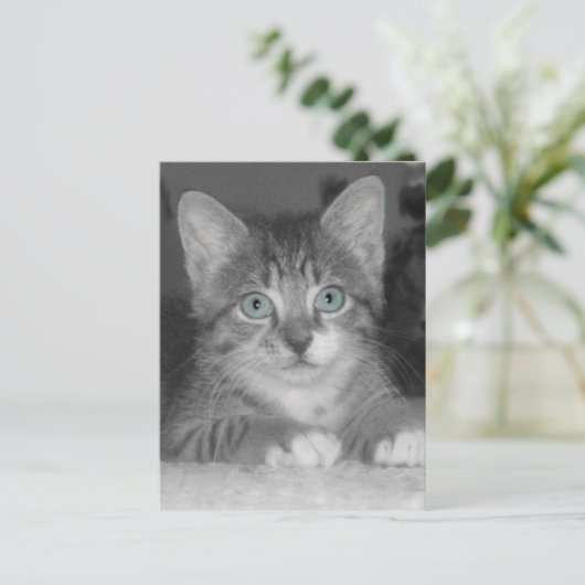 Blue Eyes Postcard Postkarte (Stehend Vorderseite)