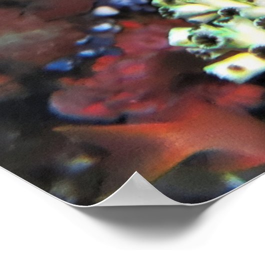 Blue Face Angelfish Poster (Ecke)