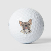 Blue Fawn Frenchie French Bulldog Golfball (Vorderseite)