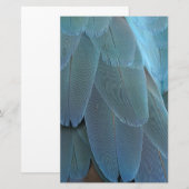 Blue Feather Briefpapier (Vorne/Hinten)
