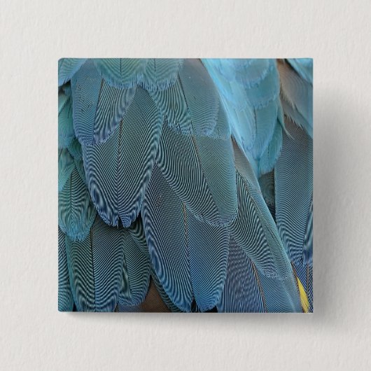 Blue Feather Button (Vorderseite)