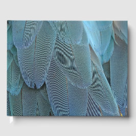 Blue Feather Gästebuch