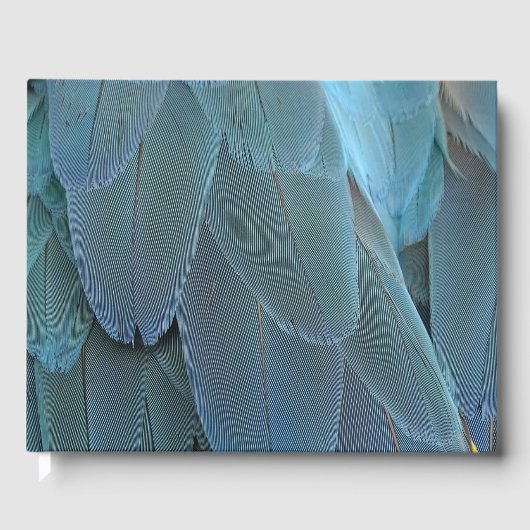 Blue Feather Gästebuch (Vorderseite)