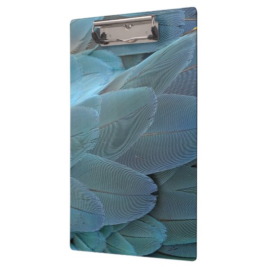 Blue Feather Klemmbrett (Links)