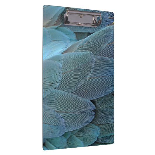 Blue Feather Klemmbrett (Rechts)