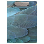 Blue Feather Klemmbrett (Vorderseite)