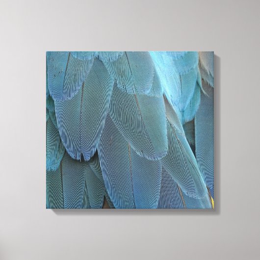 Blue Feather Leinwanddruck (Vorderseite)