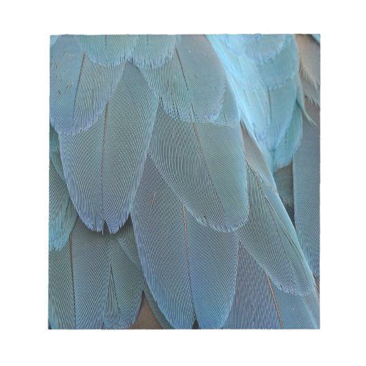 Blue Feather Notizblock (Vorderseite)
