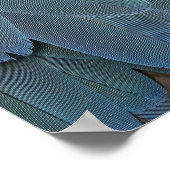 Blue Feather Poster (Ecke)