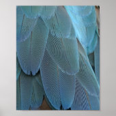 Blue Feather Poster (Vorne)