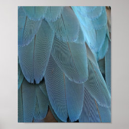 Blue Feather Poster
