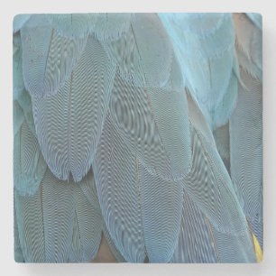 Blue Feather Steinuntersetzer