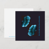 Blue Feet 2005 Mark Edward Westerfield (Vorne/Hinten)