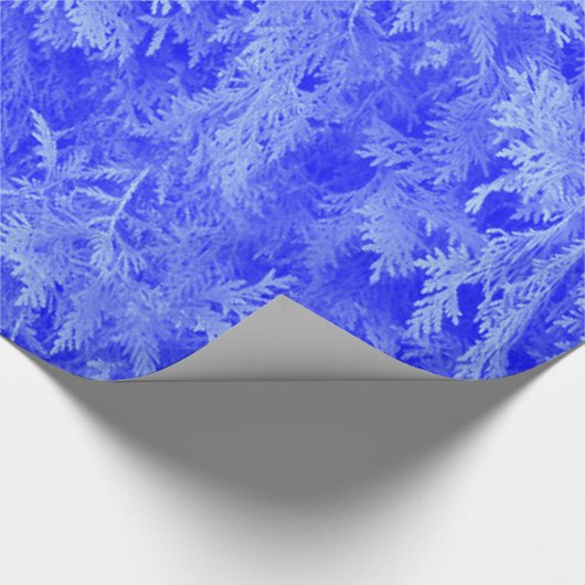 Blue Fir Geschenkpapier (Ecke)