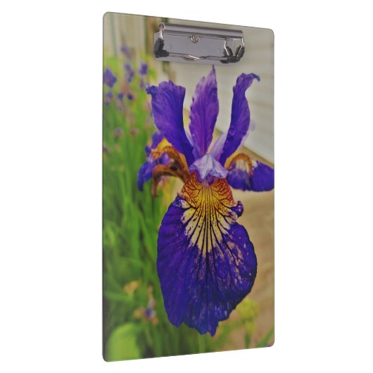 Blue Flag Iris Fleur de Lys French Canada Quebec Klemmbrett (Rechts)