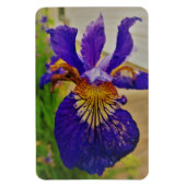 Blue Flag Iris Fleur de Lys French Canada Quebec Magnet (Vertikal)