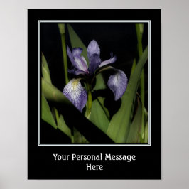 Blue Flag Iris kreieren Sie Ihr eigenes Angebot Poster