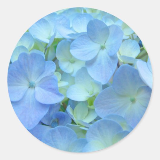 Blue Floral Aufkleber Umschlag Aufkleber Hydrangea (Vorderseite)