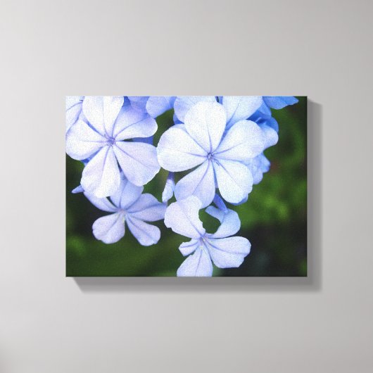 Blue Floral Bokeh Leinwanddruck (Vorderseite)