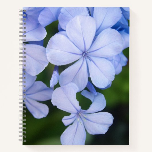 Blue Floral Bokeh Notizblock (Vorderseite)