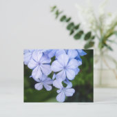 Blue Floral Bokeh Postkarte (Stehend Vorderseite)