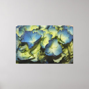 Blue Floral Designer Leinwand