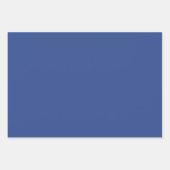 Blue Floral Paper Geschenkpapier Set (Vorderseite 2)