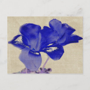 Blue Floral Postcard Postkarte
