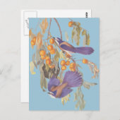 Blue Florida Scrub Jay Audubon Birnen mit Orangen Postkarte (Vorne/Hinten)