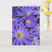 Blue Flowers Card Daisy Grußkarte Leere Karte (Gelbe Blume)