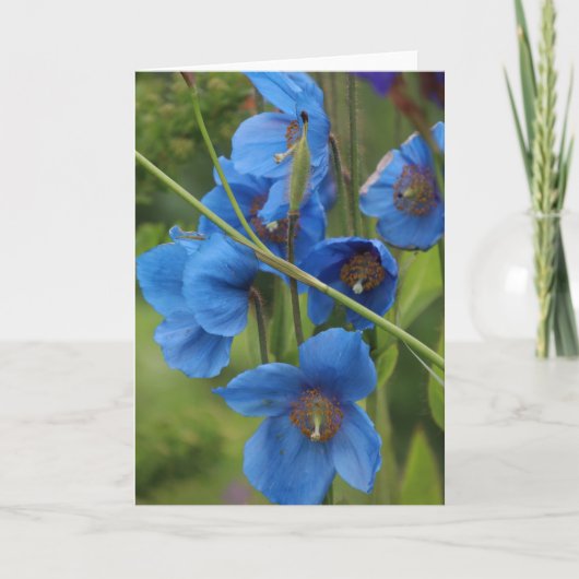 Blue Flowers Card Karte (Vorderseite)