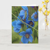 Blue Flowers Card Karte (Gelbe Blume)