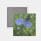 Blue Flowers Magnet (Vorderseite/Rückseite)