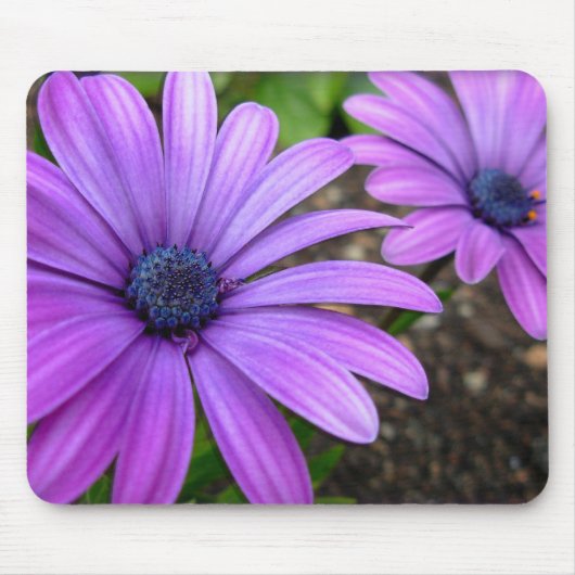 Blue Flowers Mousepad Daisy Computergeschenke (Vorne)